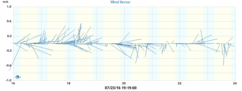 Wind Vector